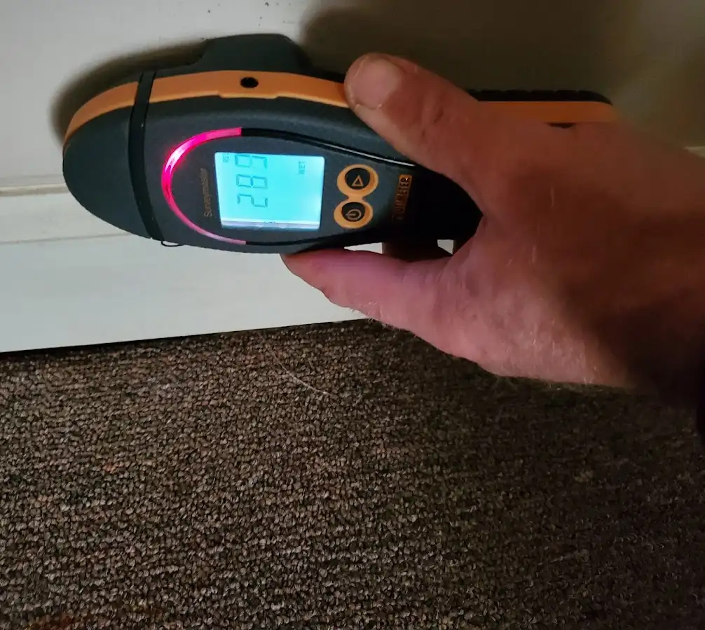 Moisture detection at baseboard during Mold Inspection & Testing in Estacada